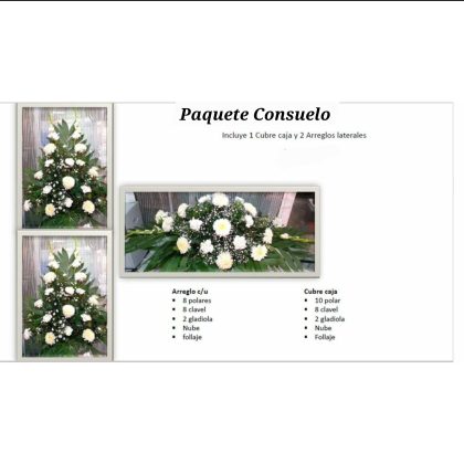 Paquete Consuelo AF228