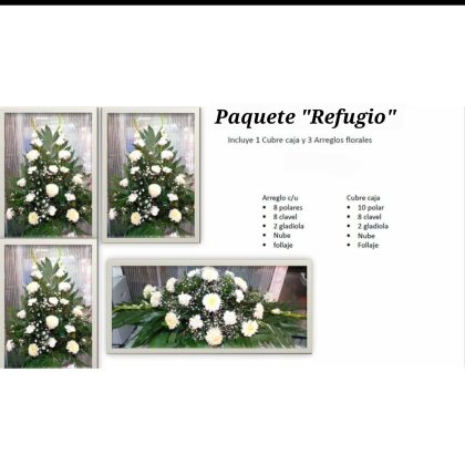 Paquete Refugio AF228